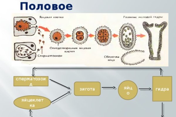 Как вернуть аккаунт кракен