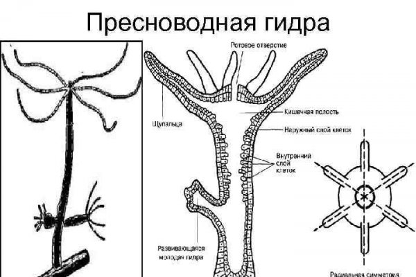 Ссылка на сайт кракен в тор