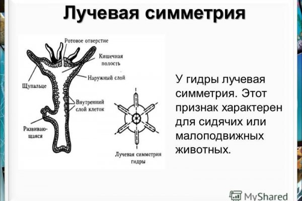 Кракен актуальная ссылка на сегодня